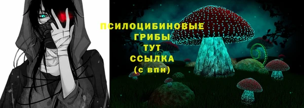 ГАЛЛЮЦИНОГЕННЫЕ ГРИБЫ Бронницы