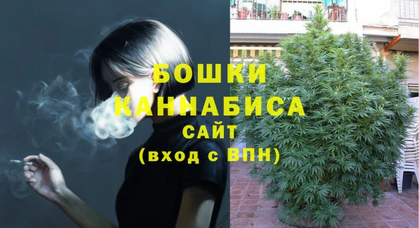 шишки Бугульма