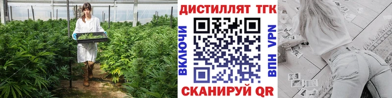 ТГК Wax  Купить  Белая Холуница 