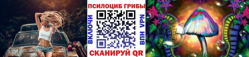 Галлюциногенные грибы Magic Shrooms  Купить закладки  Белая Холуница 