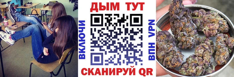 Купить закладки  Белая Холуница  Бошки марихуана марихуана 